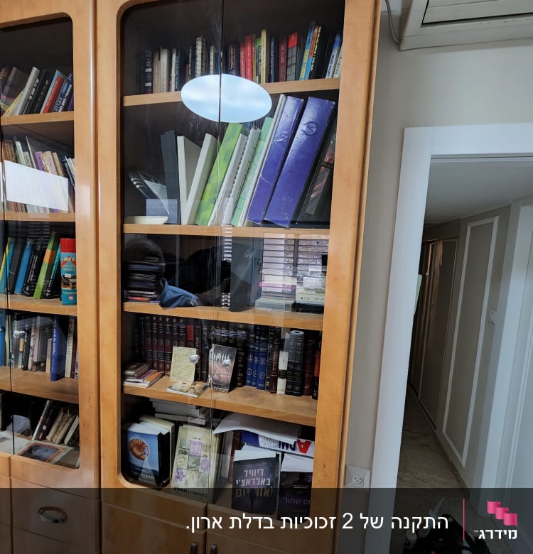 דלתות זכוכית בארון ספרים עם ספרים ותיקיות